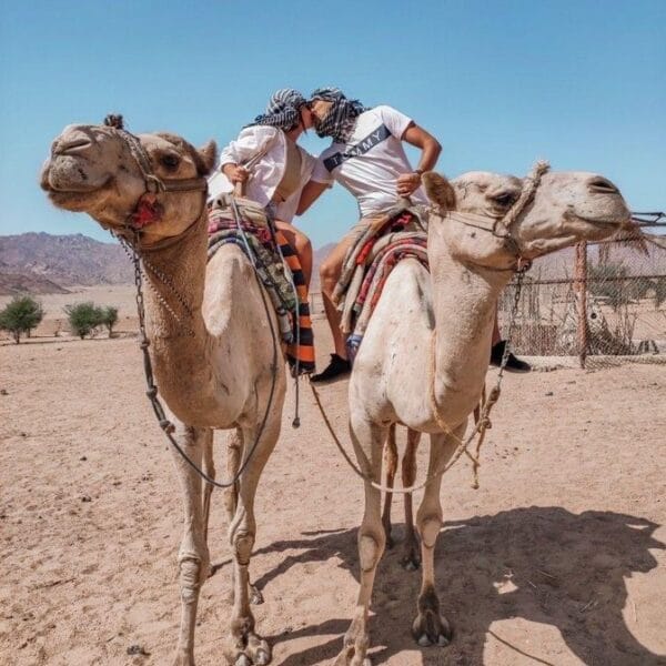 Super Safari Hurghada adventure featuring a couple riding camels in the desert during their safari tour