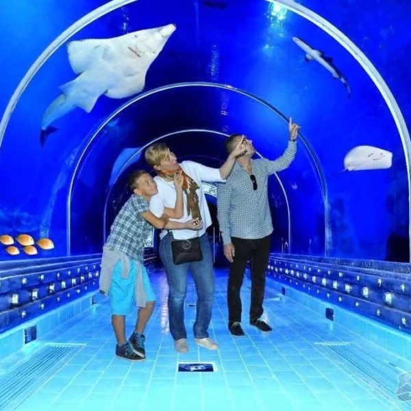 A family of three standing in a glass underwater tunnel looking up at sharks, rays, and sea turtles swimming above them.