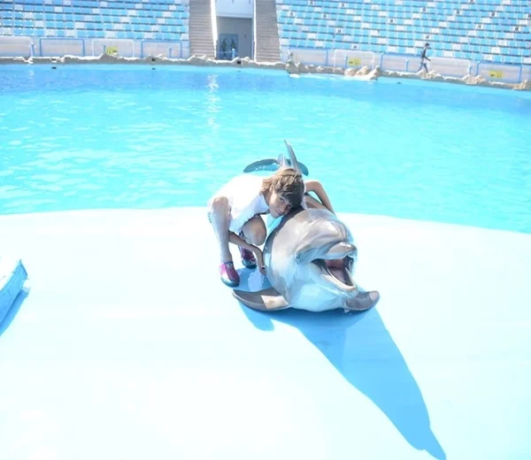A young boy kneeling on a bright blue platform, hugging a dolphin that has slid out of the water beside him.