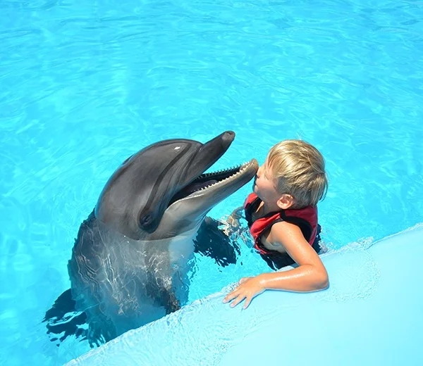 A young boy in a red life vest submerged in clear blue water, receiving a gentle kiss on the nose from a surfaced dolphin.