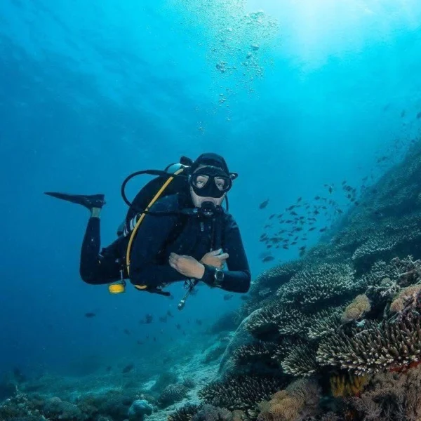 A wide underwater shot of a scuba diver swimming over a massive and healthy coral reef formation in the clear blue Red Sea.