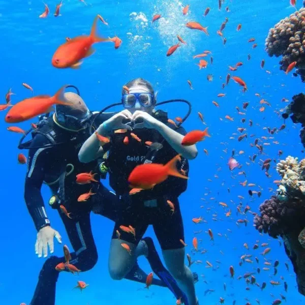 Two scuba divers making a heart shape with their hands underwater surrounded by orange fish and coral reefs in Hurghada