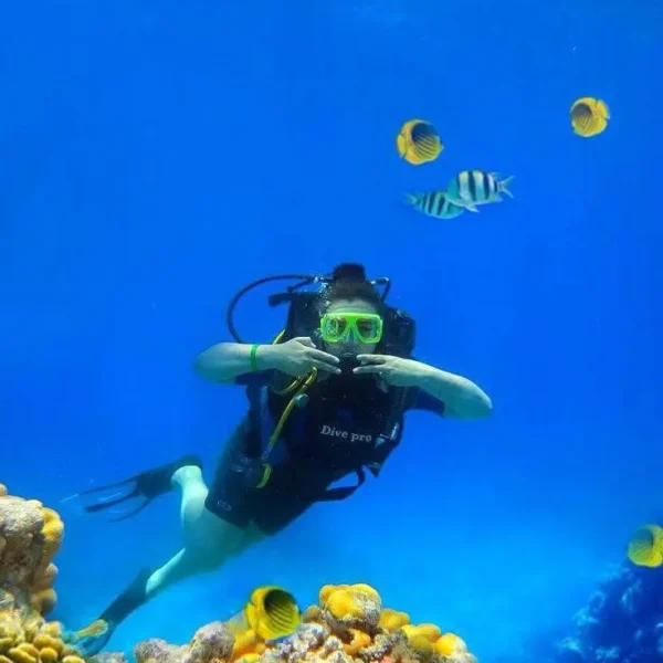 A professional scuba diver swimming in deep blue water with yellow coral reefs and tropical fish in Hurghada