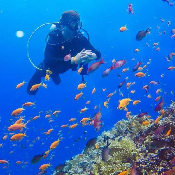 A professional diver underwater in the Red Sea near Hurghada exploring colorful coral reefs with a school of orange fish