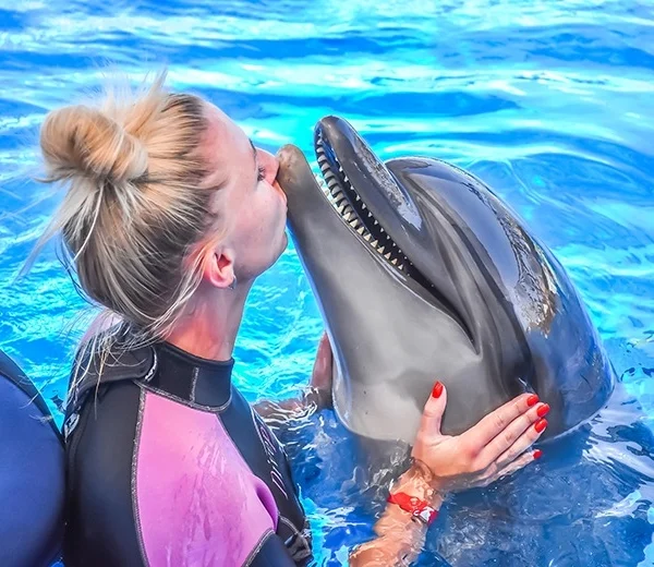 Close-up of a woman in a wetsuit receiving a kiss on the cheek from a surfaced dolphin.