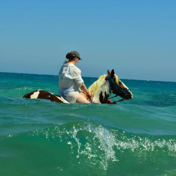 A rider on a dark horse navigating through vibrant turquoise ocean water under a clear blue sky.