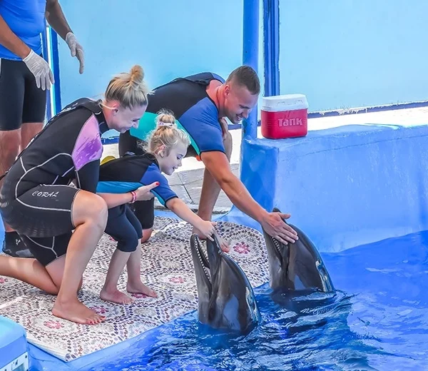 Swimming with Dolphins – Hurghada