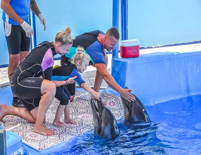 Swimming with Dolphins – Hurghada