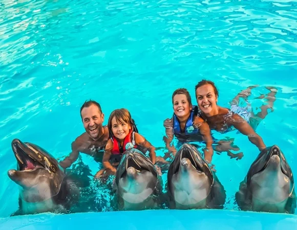 Dolphin Photo Session – Hurghada