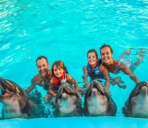 Dolphin Photo Session – Hurghada