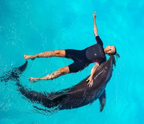 An overhead view of a woman floating on her back in clear turquoise water alongside a dolphin