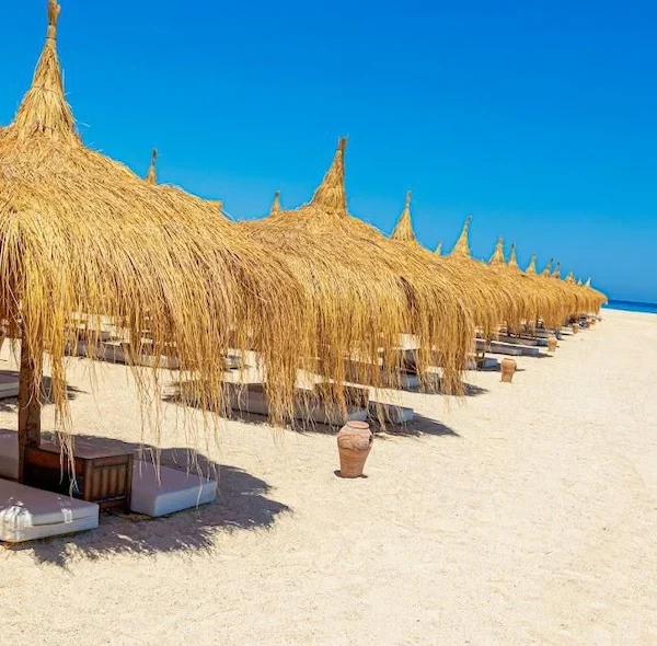 Rows of traditional straw sun umbrellas on the white sandy beach of Hula Hula Island with a clear blue sky background.