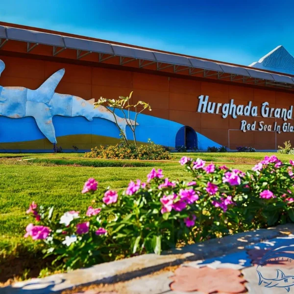 The exterior of the Hurghada Grand Aquarium building featuring a large hammerhead shark mural and floral landscaping
