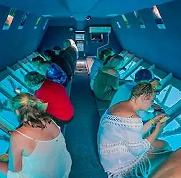 Tourists looking through glass panels on the floor of a boat to see the ocean floor.