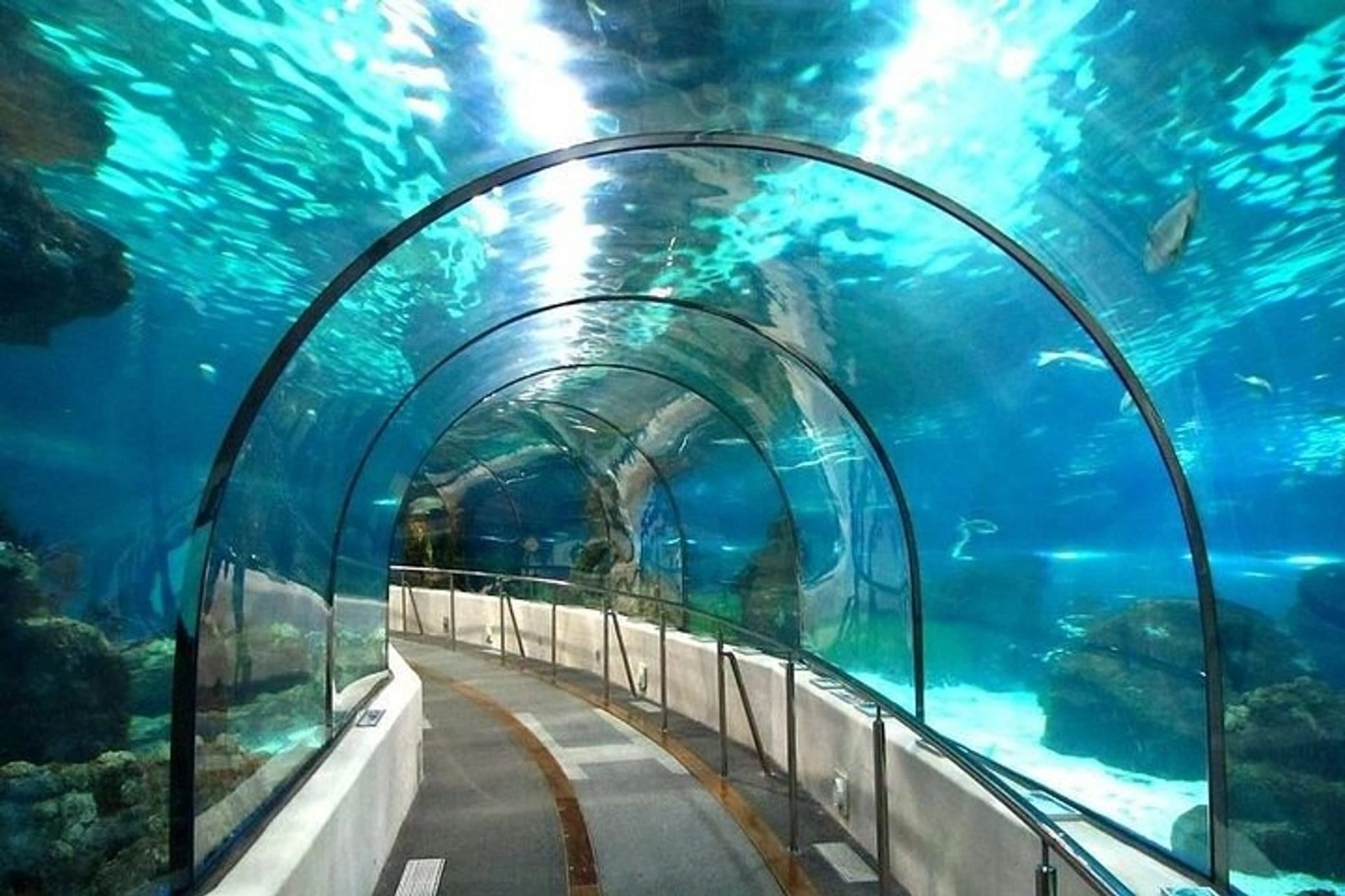 Hurghada Grand Aquarium – Family Tour