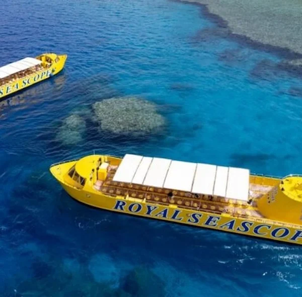 Two yellow Royal Sea Scope-class submarines sail in the clear waters of the Red Sea alongside the coral reefs.