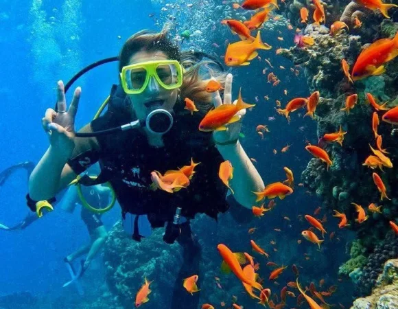 Diving – Hurghada