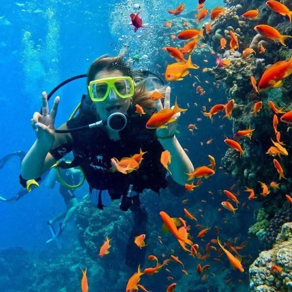 Diving – Hurghada