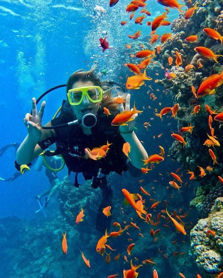 Diving – Hurghada