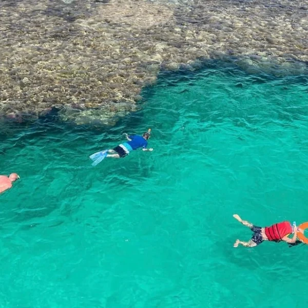 A group of people practicing snorkeling in clear turquoise waters next to a coral reef.
