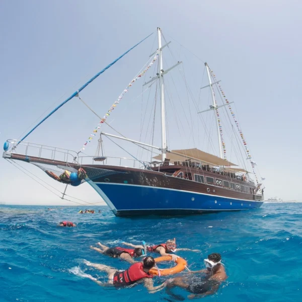 A group of tourists snorkeling in blue waters next to a large wooden sailing ship