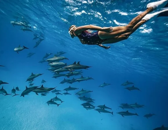 Dolphin House Snorkeling Trip – Hurghada