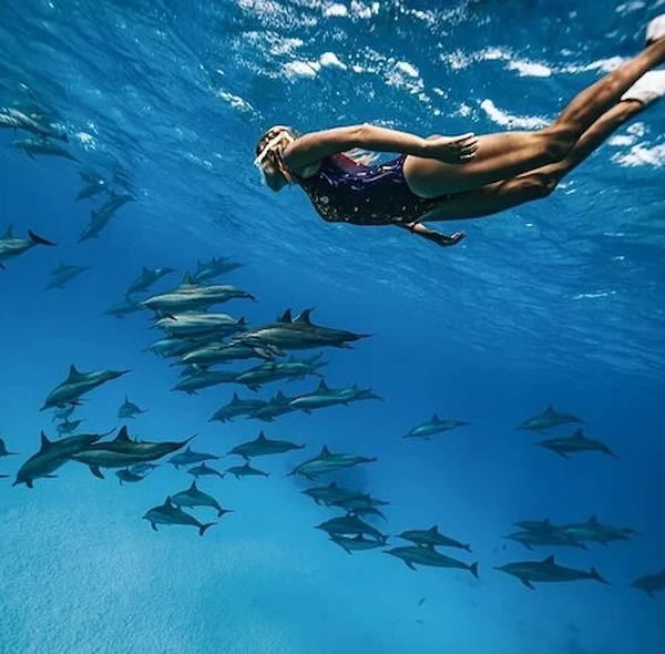 Dolphin House Snorkeling Trip – Hurghada