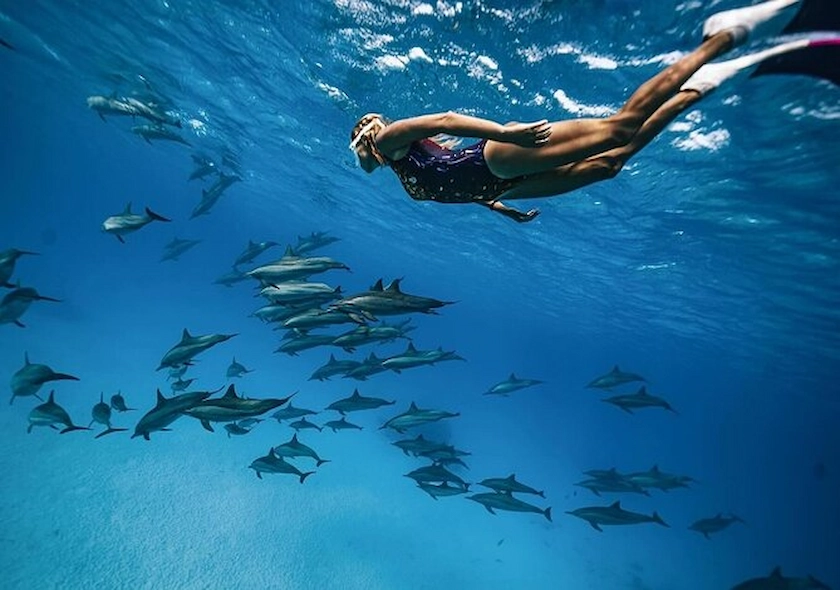 Dolphin House Snorkeling Trip – Hurghada
