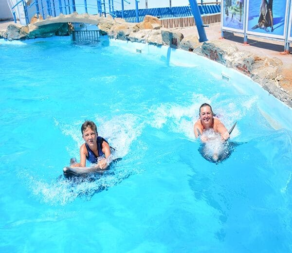 A young boy and a woman side-by-side in a pool, each being pulled through the water by a dolphin.
