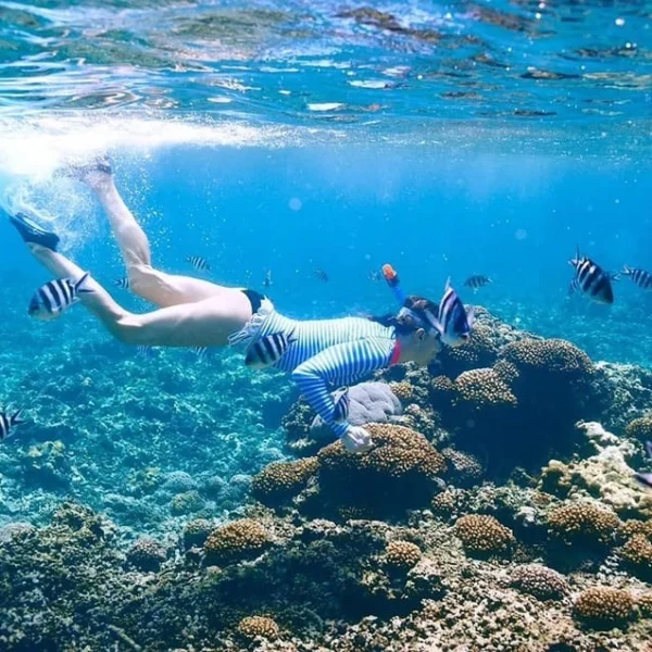 A diver swims underwater near a coral reef, surrounded by striped tropical fish.