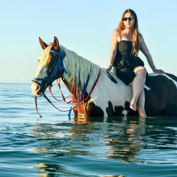 A woman in a black dress sitting on a brown and white pinto horse standing in calm ocean water under a clear blue sky.
