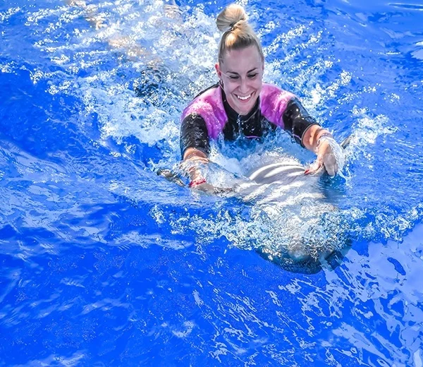 A woman in a pink and black wetsuit smiling while being pulled through the water by a dolphin.